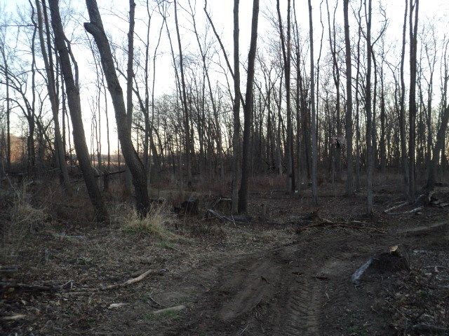 00 Napoleon Rd, Jackson, MI 49201
